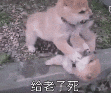 雷霆提前锁定季后赛席位 亚历山大领跑MVP争夺战